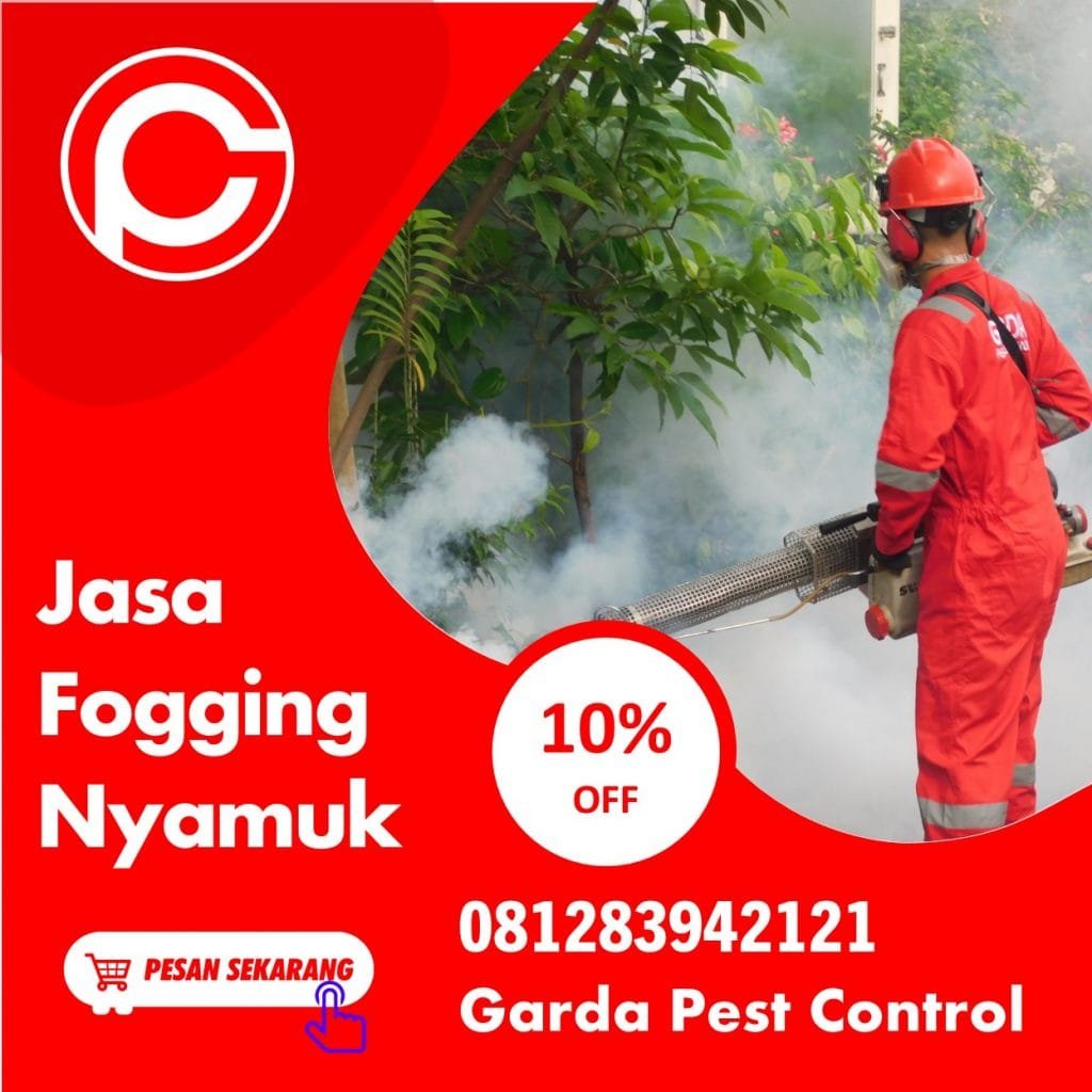 Jasa Foging Nyamuk DBD Jogja