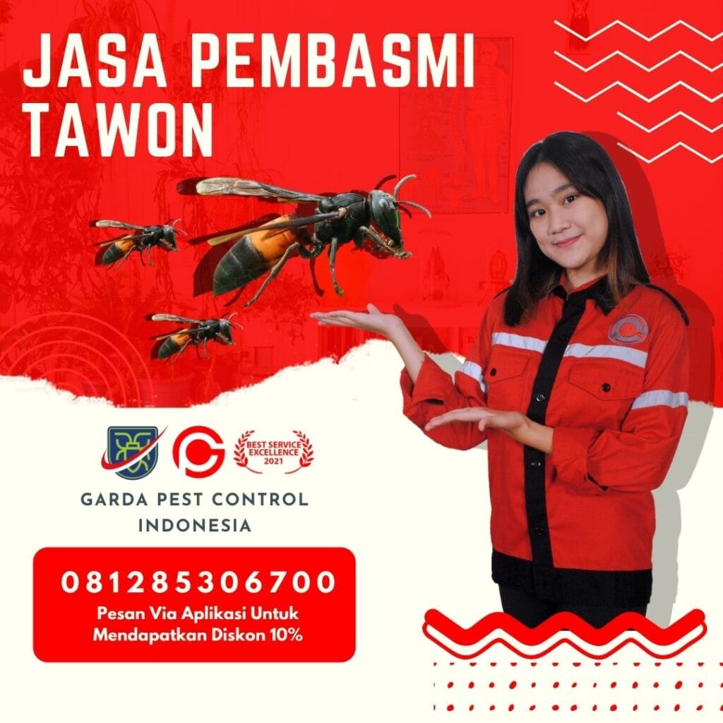 Jasa Pembasmi Tawon di Bandung