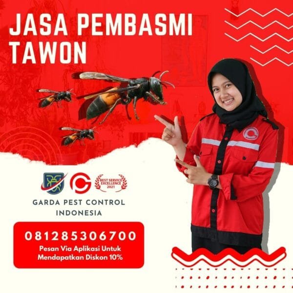 Jasa Pembasmi Tawon di Bandung