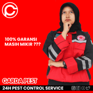 Jasa Pembasmi Nyamuk Bandung