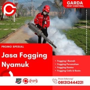 Jasa Fogging Nyamuk DBD Solo