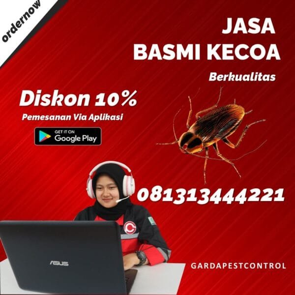 Jasa Pembasmi Kecoa Bali