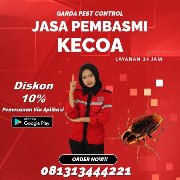 Jasa Pembasmi Kecoa Bali