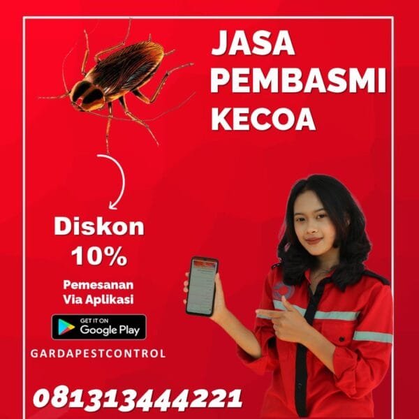 Jasa Pembasmi Kecoa Bali