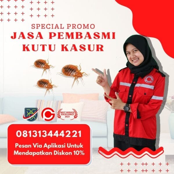 Jasa Pembasmi Kutu