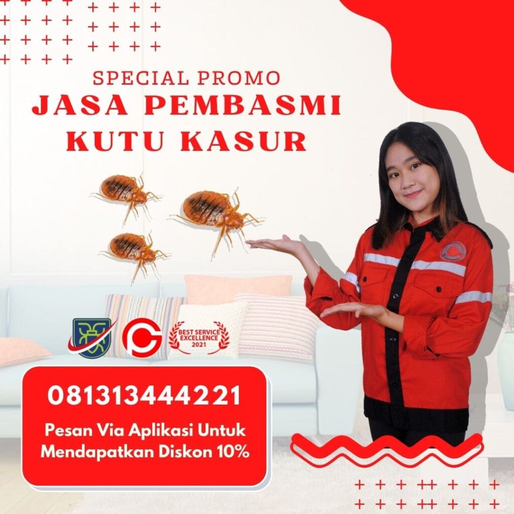 Jasa Pembasmi Kutu Busuk