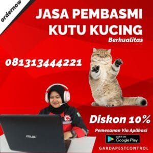 Jasa Pembasmi Kutu Loncat
