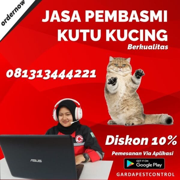 Jasa Pembasmi Kutu Kucing di Bandung