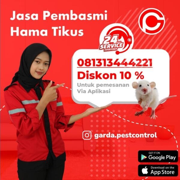 Jasa Pembasmi Tikus Bali