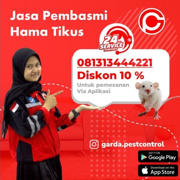 Jasa Pembasmi Tikus Bali