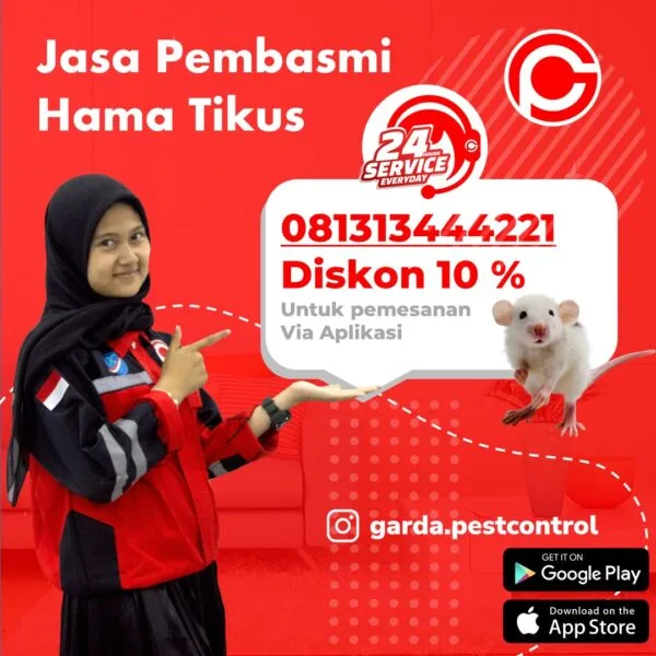 Jasa Pembasmi Tikus Bali