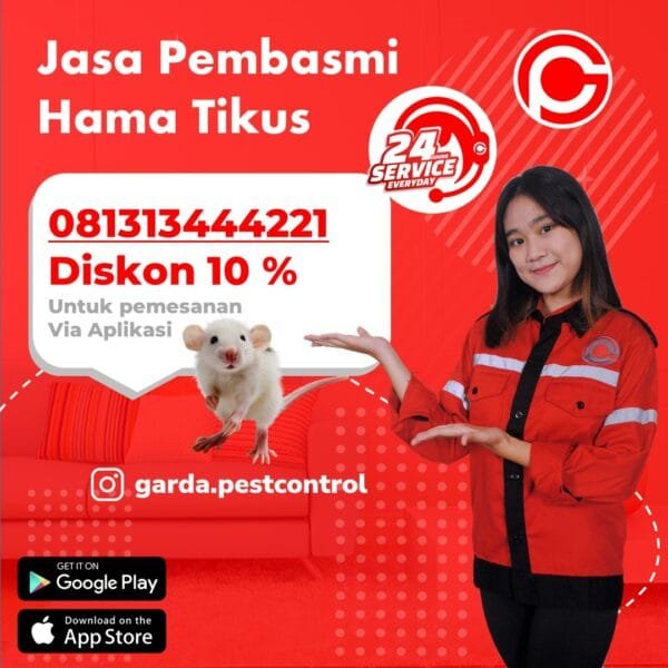 Jasa Pembasmi Tikus Bali