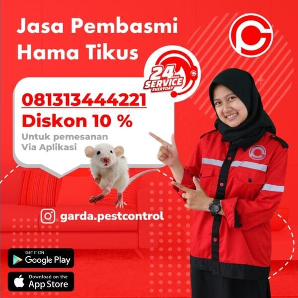 Berapa Harga Jasa Pembasmi Tikus