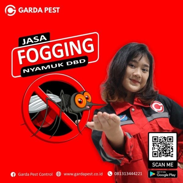 Layanan Fogging Nyamuk dbd di bali