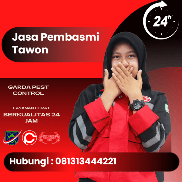 Layanan Jasa Pembasmi Tawon