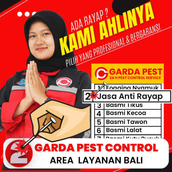 Jasa Anti Rayap Bali