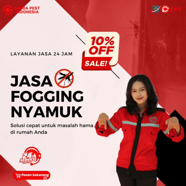 jasa fogging nyamuk solo,