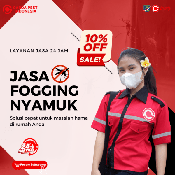 harga jasa fogging nyamuk,