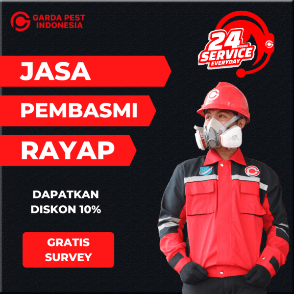 Jasa Pembasmi Rayap di Bandung