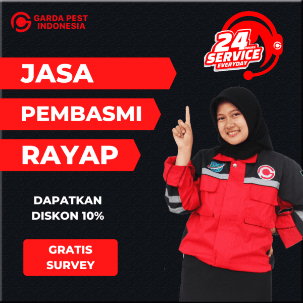 Jasa Pembasmi Rayap di Yogyakarta