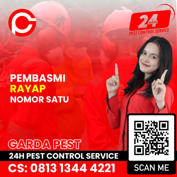 Jasa Pembasmi Rayap di Bandung