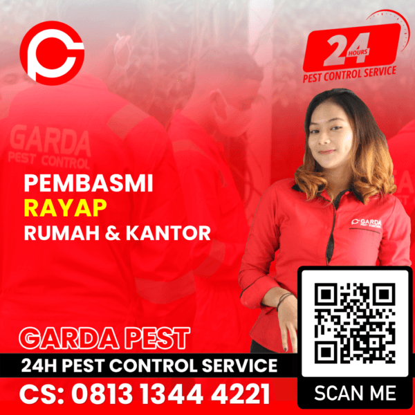Jasa Pembasmi Rayap di Depok