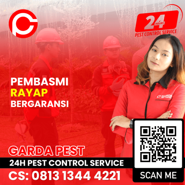 Jasa Pembasmi Rayap di Jakarta