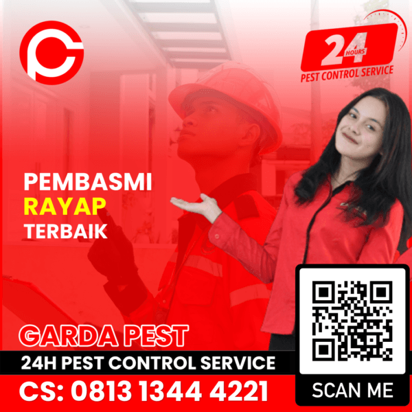Jasa Pembasmi Rayap di Jogja