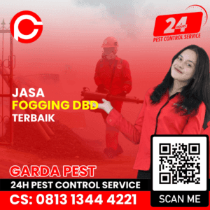 Jasa Fogging Nyamuk DBD Bandung Utara