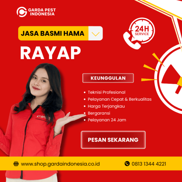 Jasa Basmi Rayap Yogyakarta