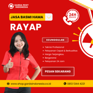 Jasa Anti Rayap di Yogyakarta