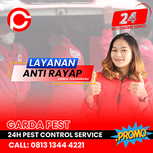 Jasa Anti Rayap di Bandung Bergaransi