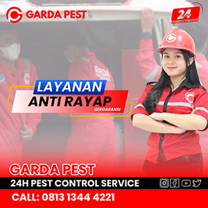 Jasa Anti Rayap di Bandung Cepat