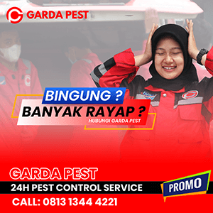 Jasa Anti Rayap di Bandung Harga Terjangkau