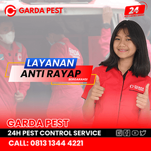 Jasa Anti Rayap di Bandung Lagi Promo