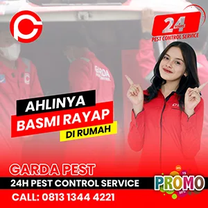 Jasa Anti Rayap di Bandung Layanan 24 Jam