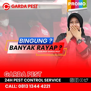 Jasa Anti Rayap di Bandung Layanan Cepat