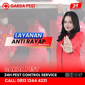 Jasa Anti Rayap di Bandung Murah
