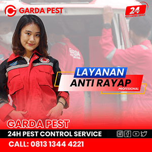 Jasa Anti Rayap di Bandung Profesional