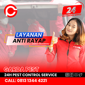 Jasa Anti Rayap di Bandung Promo Diskon