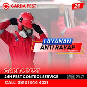 Jasa Anti Rayap di Bandung Promo