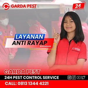 Jasa Anti Rayap di Bandung Terjamin