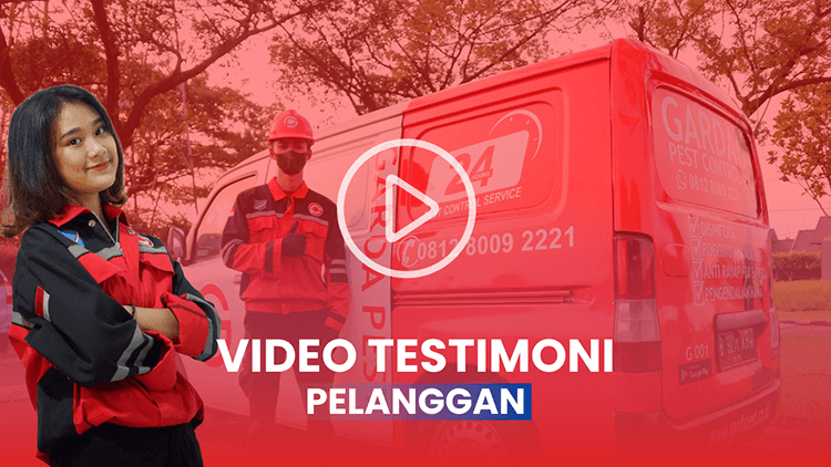 Jasa Anti Rayap di Bandung Panggilan