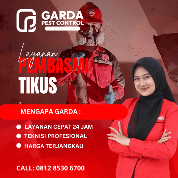 Layanan Jasa Pembasmi Tikus Terbaik dan Profesional