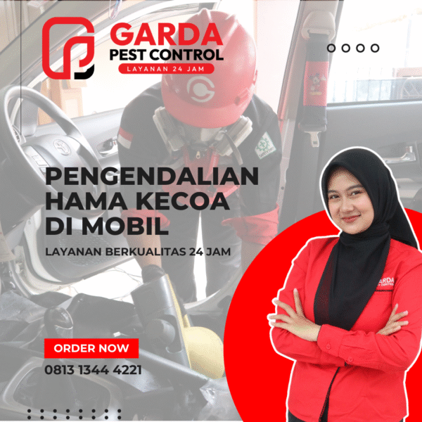 Jasa Pembasmi Kecoa Kecil Kecil di Mobil