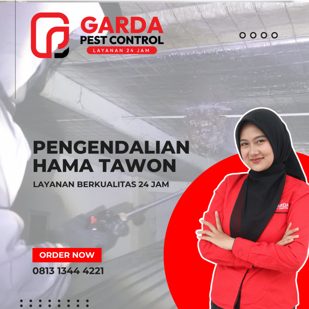 Jasa Pembasmi Tawon Vespa Ndas Terdekat