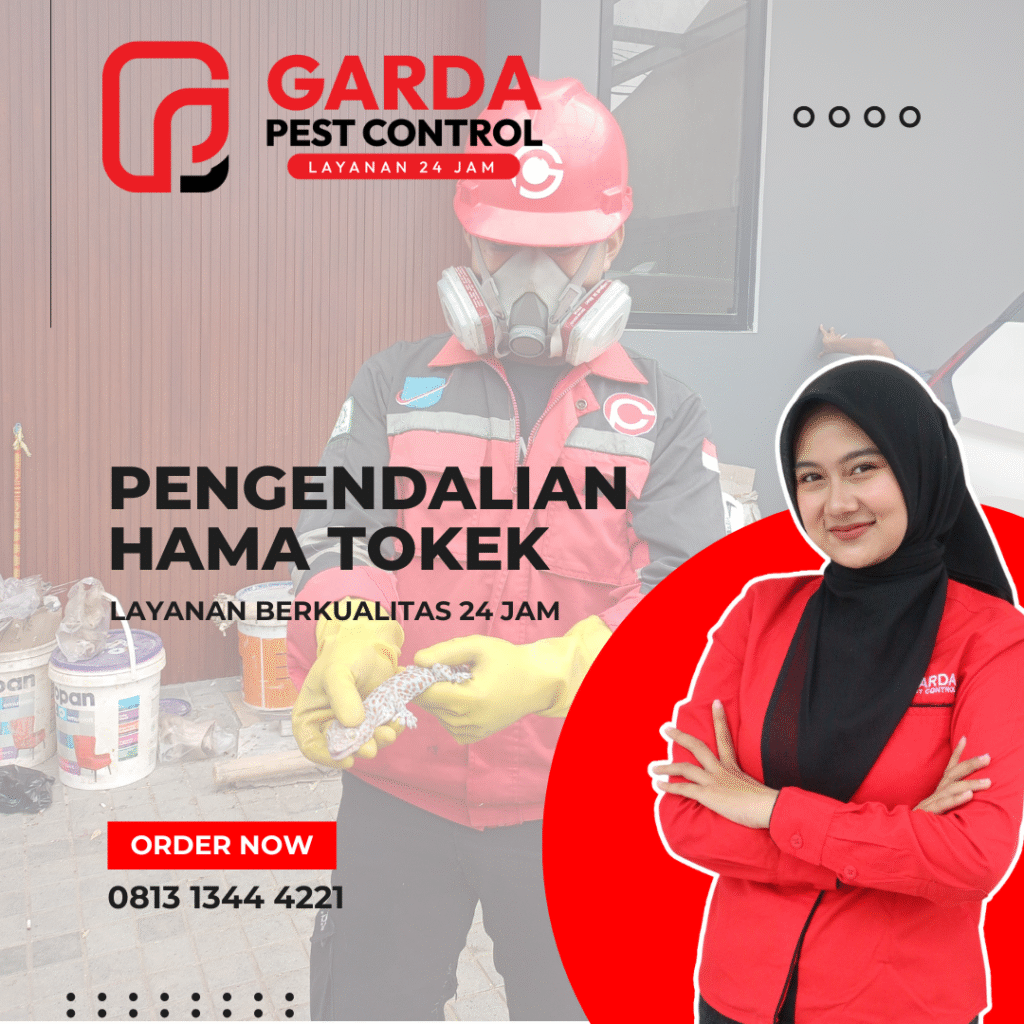 Jasa Pembasmi Tokek di Solo: 24 Jam Layanan