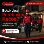 Jasa Pembasmi Kecoa Jakarta Bergaransi untuk Rumah dan Kantor
