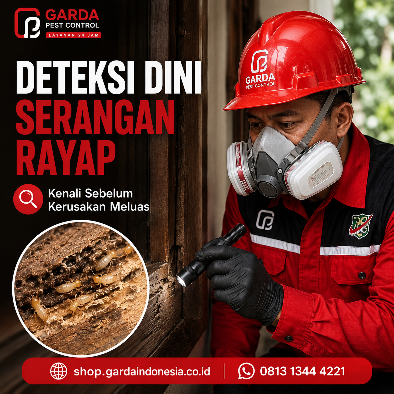 Biaya Jasa Pembasmi Rayap di Brebes: Paling Terjangkau 2026