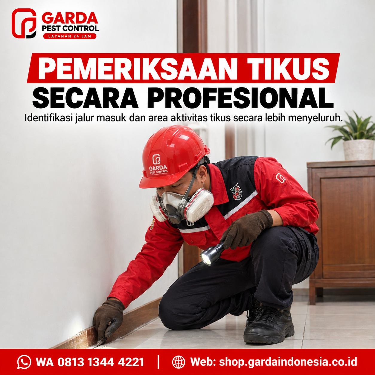 Butuh Pembasmi Tikus Jakarta? Pilih Layanan Profesional & Terpercaya - Gambar 4